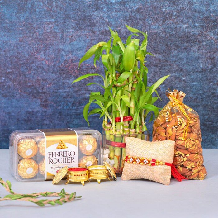 Medium Ferrero N Bamboo Plant Rakhi Combo