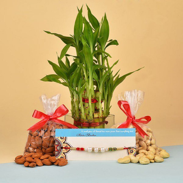 Stylish N Healthy Rakhi Surprise 