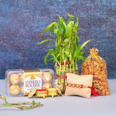 Medium Ferrero N Bamboo Plant Rakhi Combo