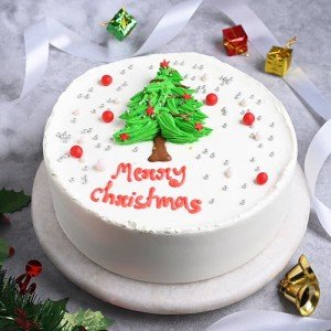 Merry Christmas Cake