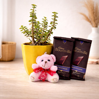 Attractive Jade Plant Gift Hamper 