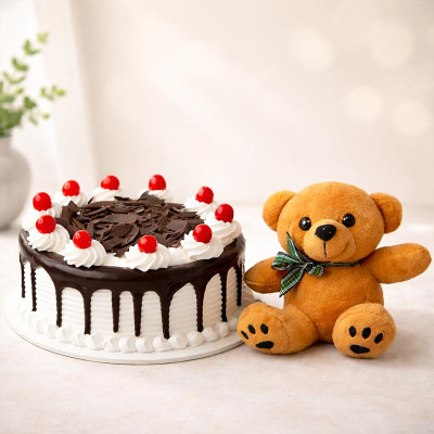 Black Forest and Teddy Combo