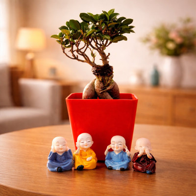 Marvellous Bonsai Plant