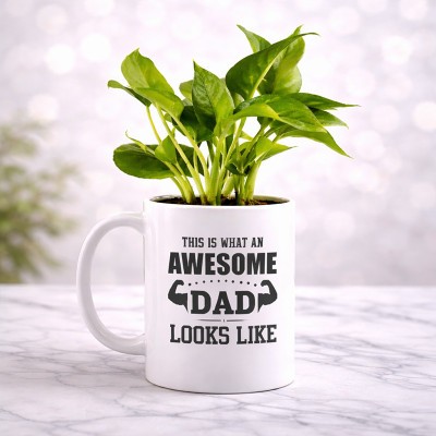 Money Plant In Personalised Awesome Dad Mug
