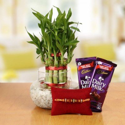 Rakhi With Plants Online Delivery